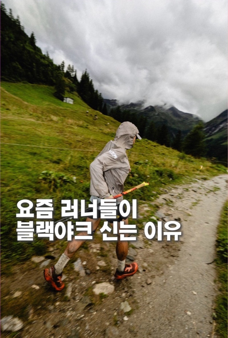 트레일러닝화 뭐 신지? 블랙야크 스카이웹 VTR 남자 여자 러닝화 추천..