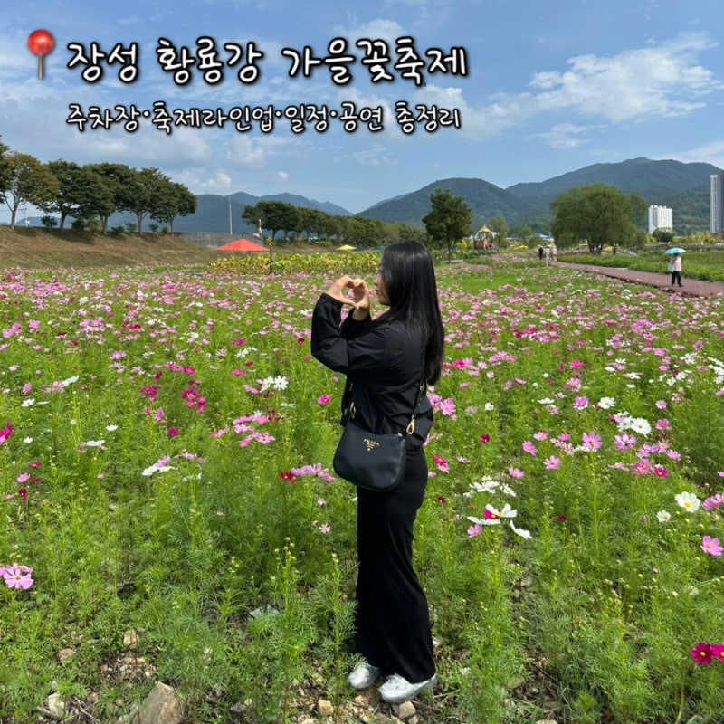 장성 황룡강 가을꽃축2026, 주차장·축제라인업·일정·공연 총정리