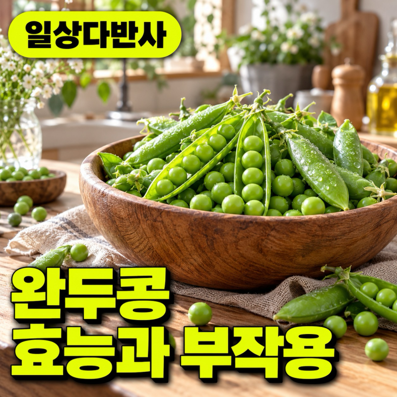 완두콩효능 5가지와 부작용 완벽 정리