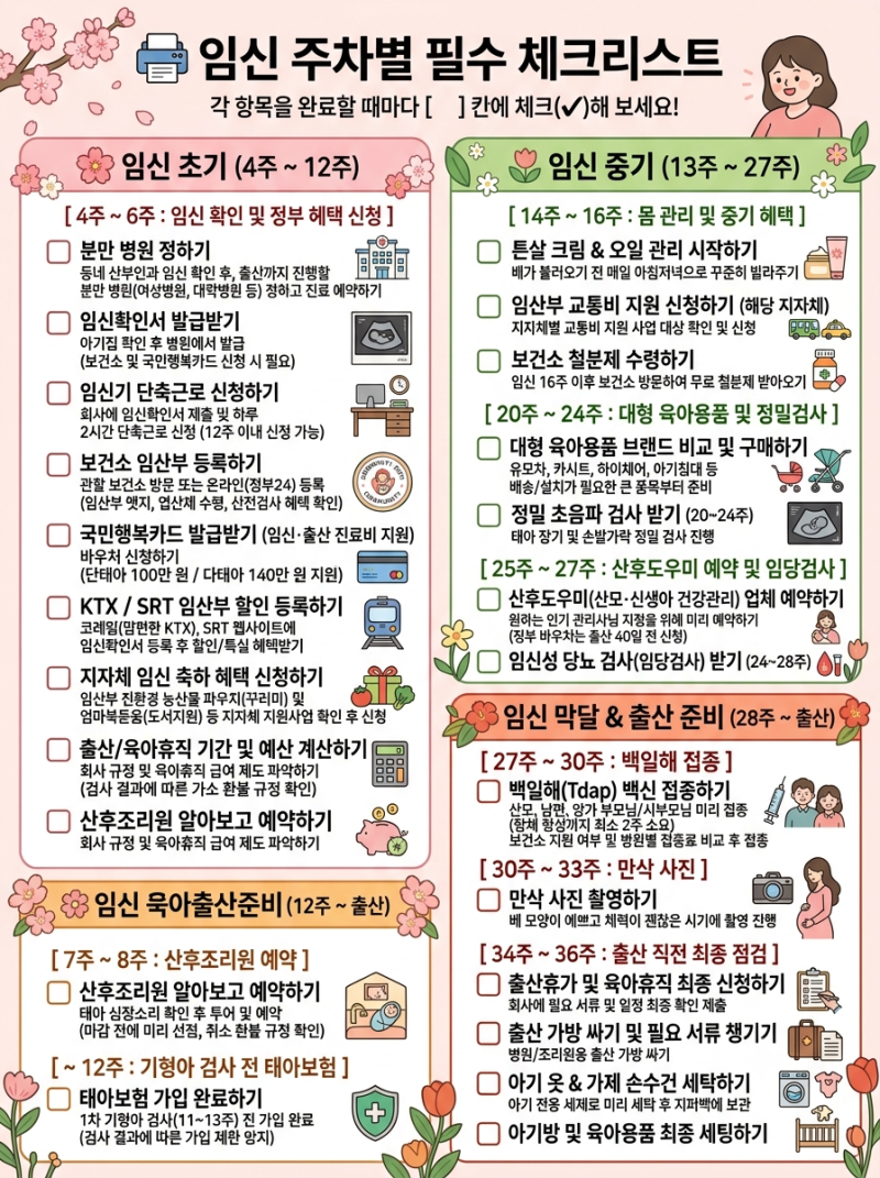 임신 확인 후 주차별 필수 체크리스트 프린트용 : 정부 혜택·태아보험·산후조리원·산후도....
