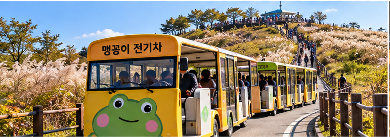 2026 서울억새축제 일정·가는 법 총정리｜하늘공원 야간 라이팅쇼와 명성산 억새꽃축제까지