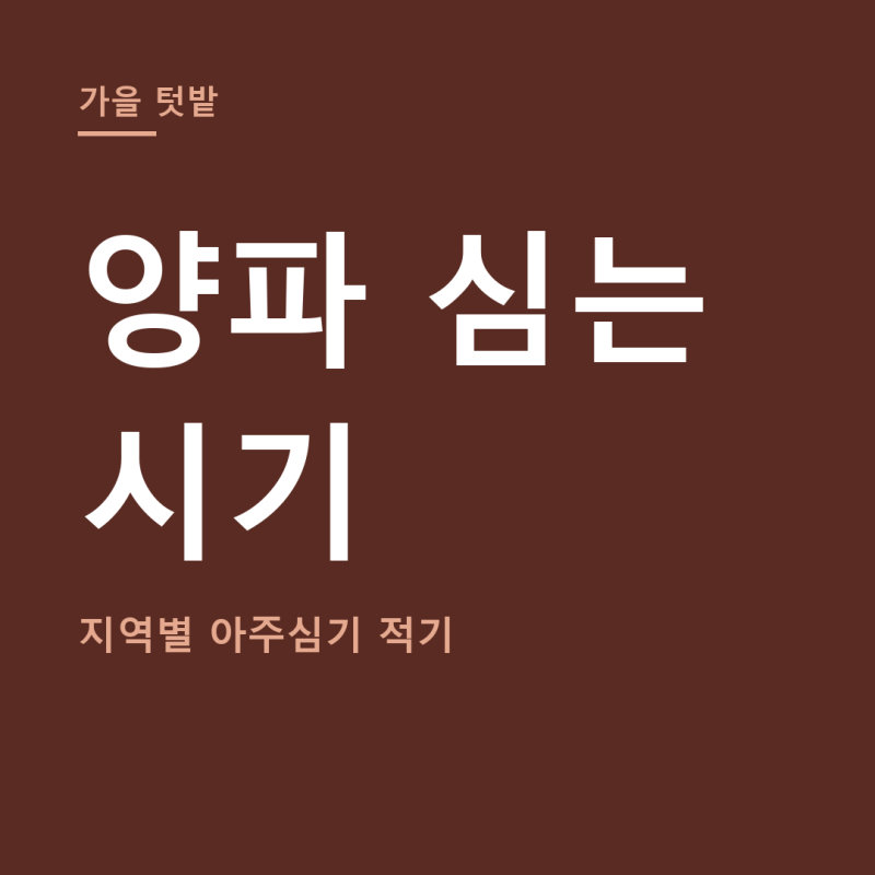 가을 양파 심는 시기 총정리 (+중부 남부 지역별, 모종 심는 방법)