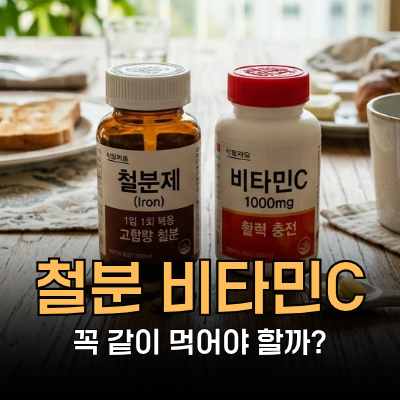 철분 비타민C 왜 같이 먹으라고 할까?ㅣ망고의 성분도감