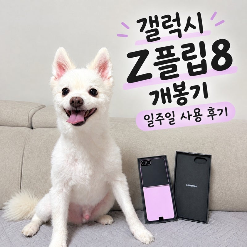 갤럭시 Z 플립8 개봉기 | 일주일 사용 후기