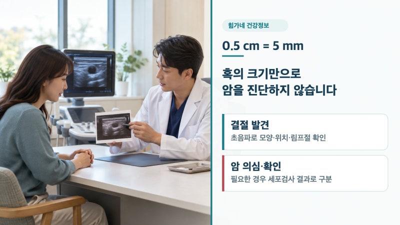 갑상선암 혹 크기 0.5cm, 암 진단일까? 초음파 판단 기준