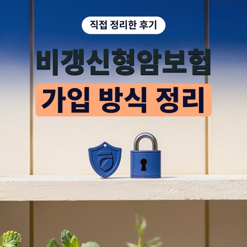 비갱신형암보험 알아보다 암보험다이렉트 가입 방식까지 정리해봤어요 (플랜비보험)