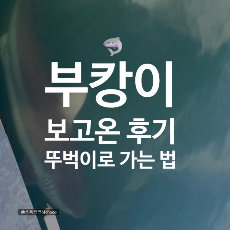부산 북항친수공원 부캉이 보러 다녀왔다｜부산역에서 뚜벅이로 가는 법 + 직관 후기