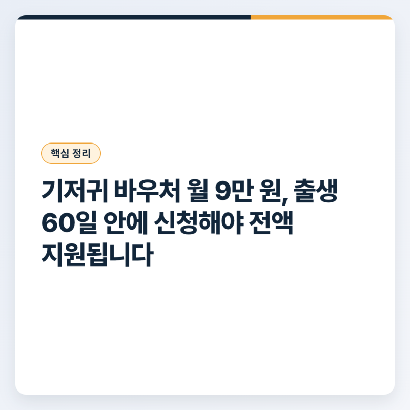 기저귀 바우처 월 9만 원, 출생 60일 안에 신청해야 전액 지원됩니다