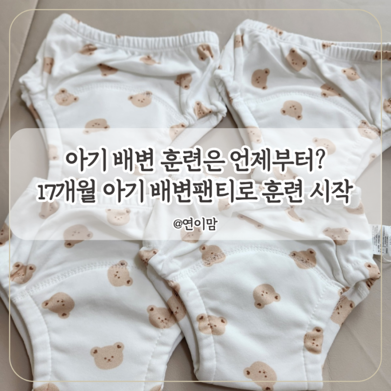 17개월 아기 배변팬티로 배변훈련 시작 아기 배변훈련은 언제부터?