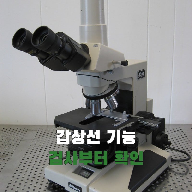 갑상선기능항진증, 두근거림만으로 알 수 없어요… 먼저 보는 검사