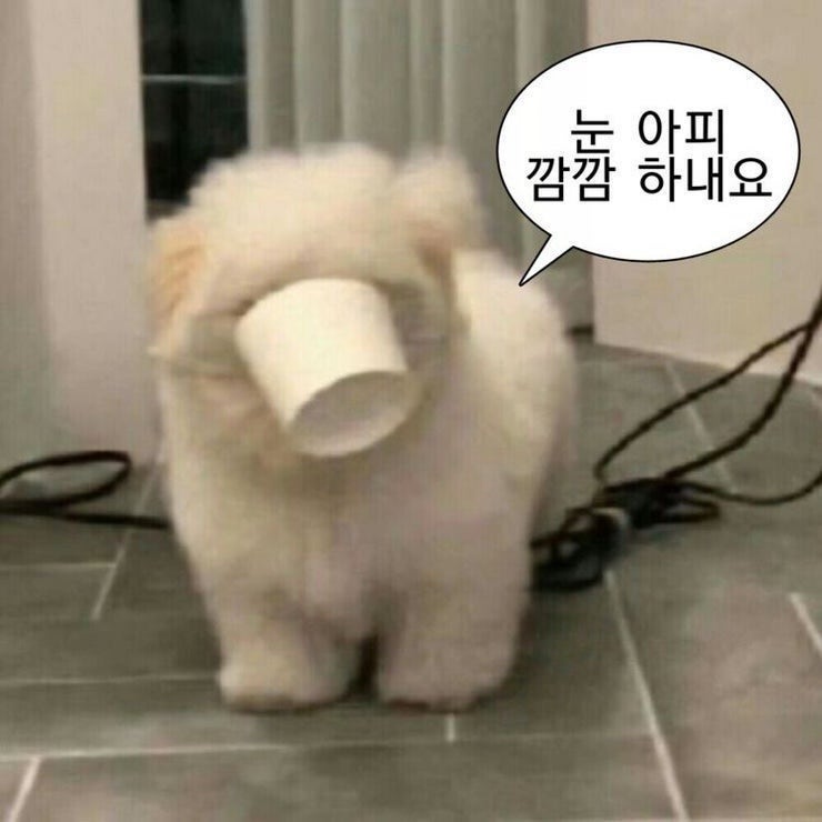 [임신로그 4] 아기집 자연배출 화학적유산 계류유산