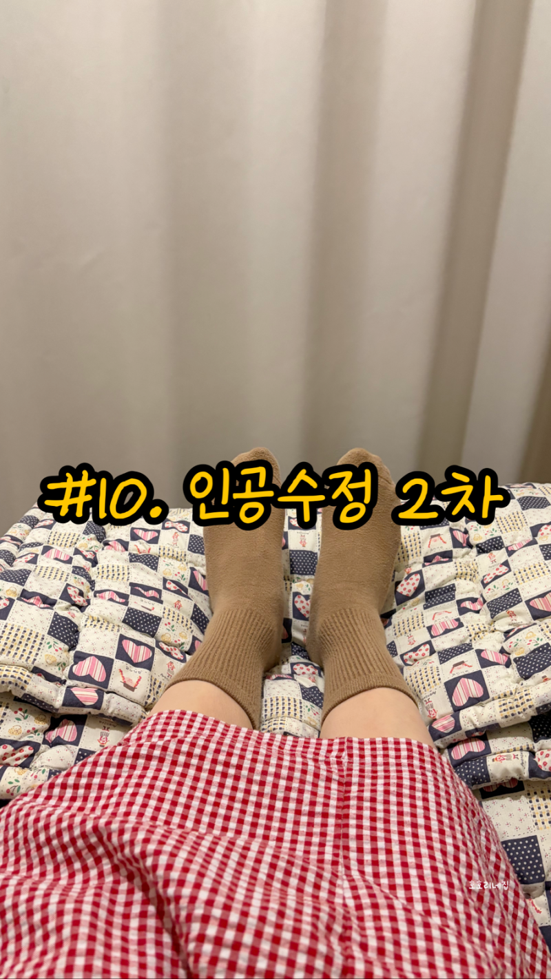 #10. 인공수정2차 당일/1차, 2차 비용정리
