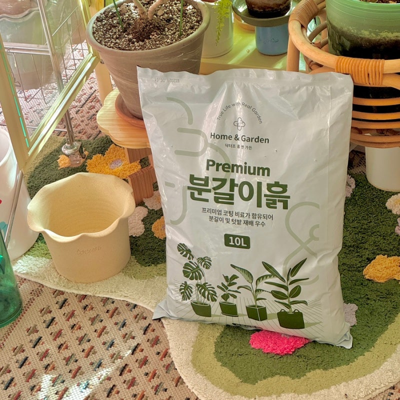 화분분갈이 닥터조프리미엄분갈이흙10L 삽목부터 직접 사용해본 후기
