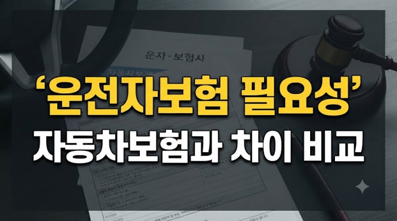 운전자보험 필요성 자동차보험과 보장 차이 비교하기