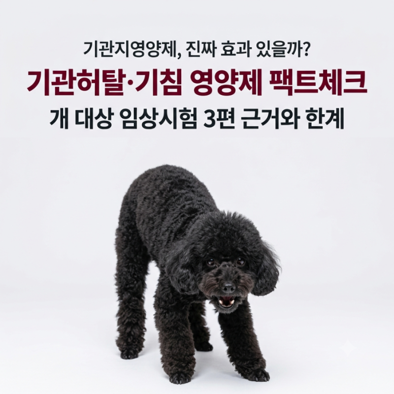 강아지 기관허탈·기침에 '기관지영양제', 효과 있을까? 개 대상 임상시험 3편으로 확인한 근....