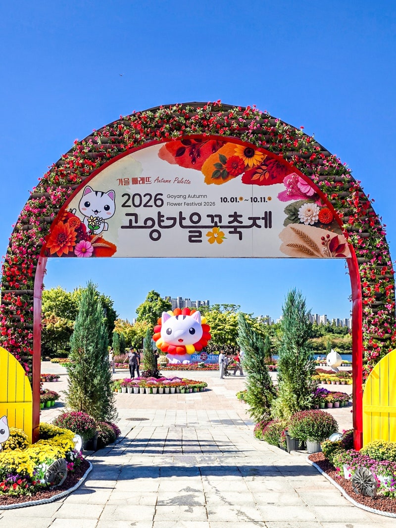 입장료 0원에 즐기는 2026 고양 가을 꽃축제, 일산 호수공원 실시간