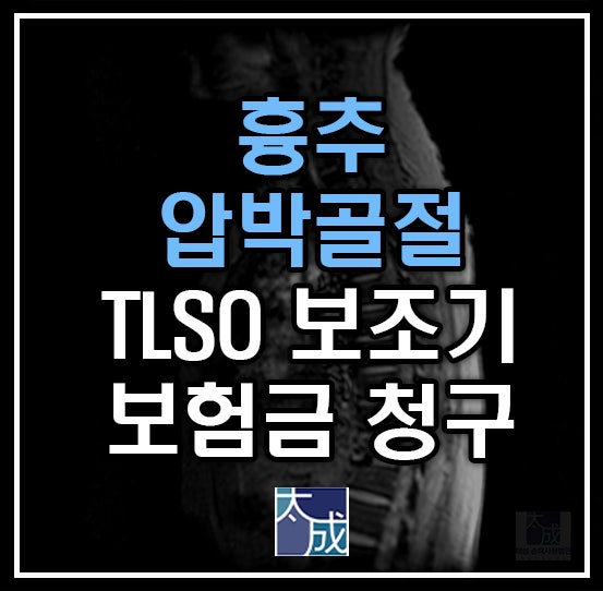 흉추9번 10번 압박골절 후유장해진단서 발급 및 보험금 청구 2700만원 보상후기