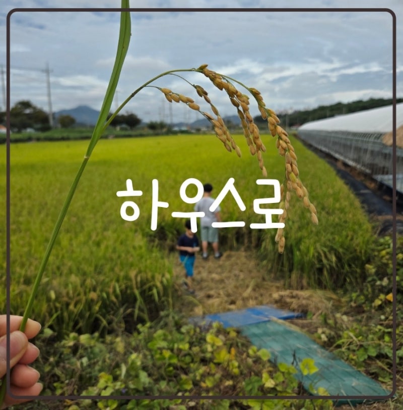 정읍 대형 실내 키즈 농촌 체험 카페 하우스로 솔직후기