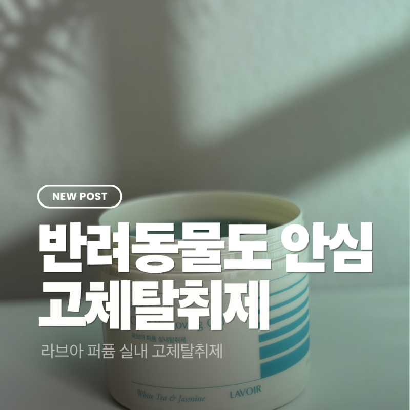 라브아 퍼퓸 실내 탈취제, 한 번 뿌렸는데 120일 간다고?ㅣ화이트티&자스민향 솔직 후기