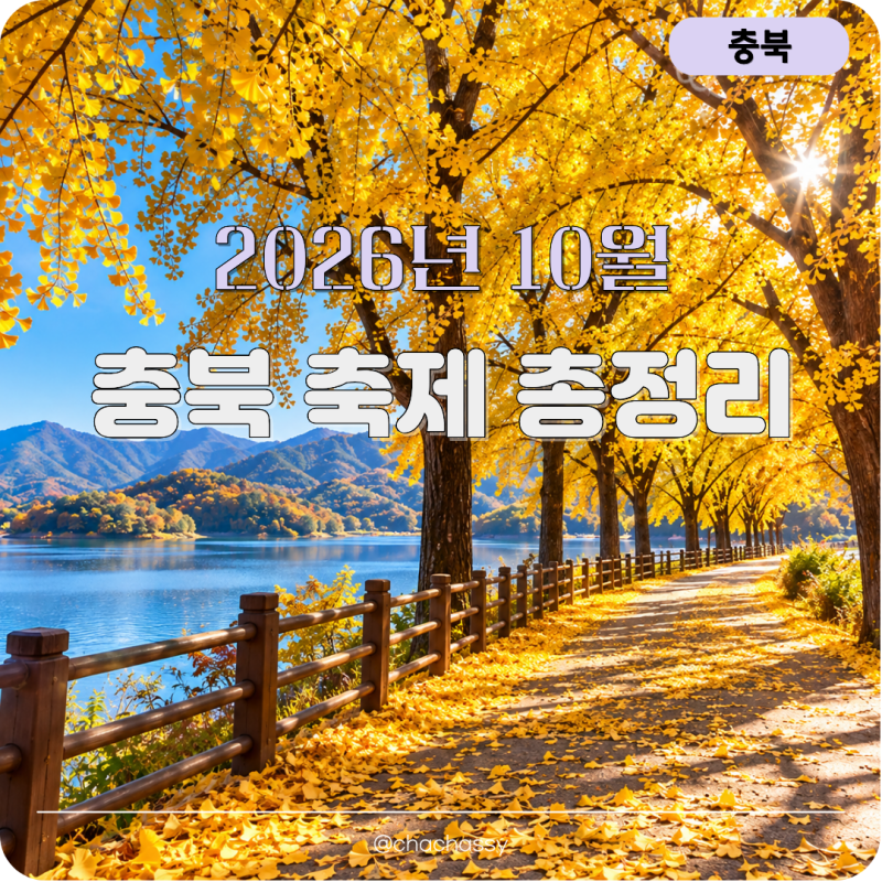 2026년 10월 충북 축제 행사 일정 가볼만한곳 총정리