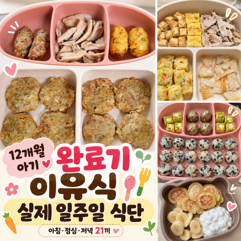 12개월 완료기 이유식 식단, 직접 만들어 먹인 일주일 아침 점심 저녁 메뉴