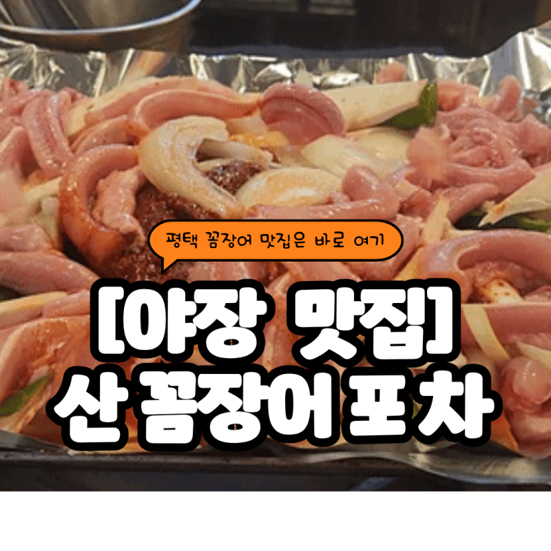 [평택/평택역/합정]싱싱함과 생동감이 넘치는 '산꼼장어포차'