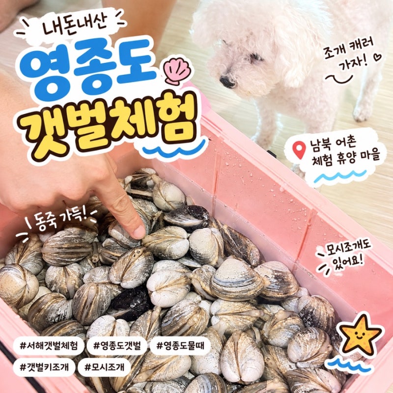 서해 영종도 갯벌 체험, 마시안 해변 남북어촌체험휴양마을 가격, 물때, 주차부터 꿀팁까지