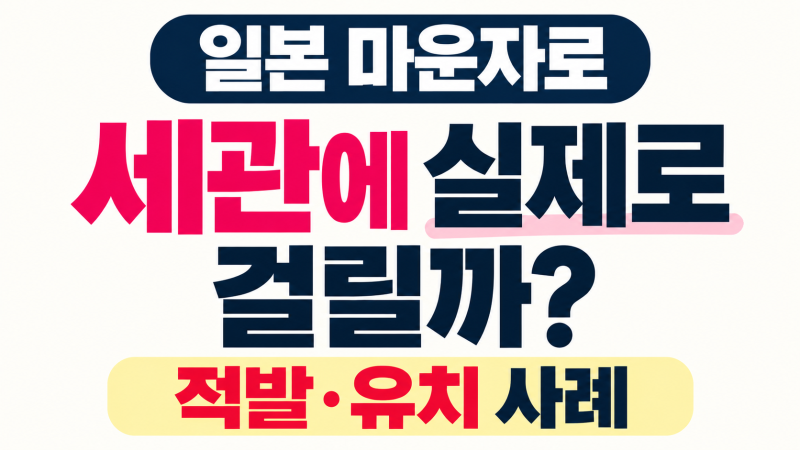 일본 마운자로 반입,공항에서 걸릴까? 실제 적발·유치 후기