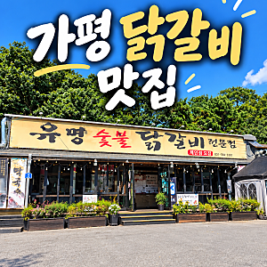 가평 양떼목장 근처 맛집 주차편한 가평 닭갈비집 l 유명숯불닭갈비 가평본점