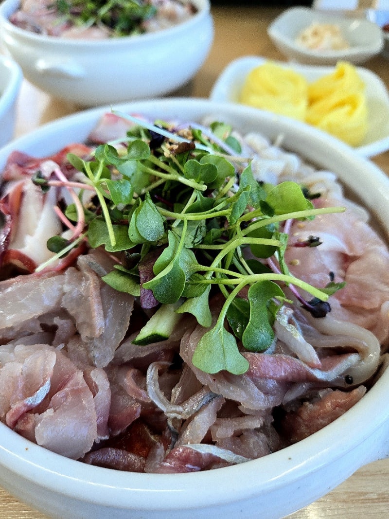 속초항아리물회 속초아이 대관람차 타고 다녀온 속초 물회 맛집