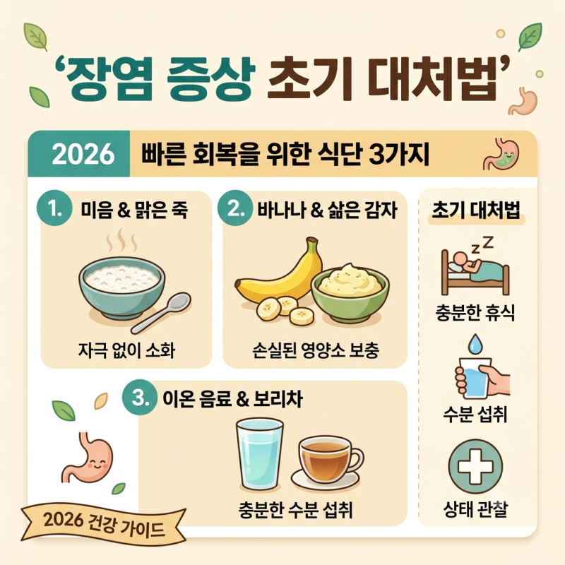 장염 증상 초기 대처법과 2026 빠른 회복을 위한 식단 3가지