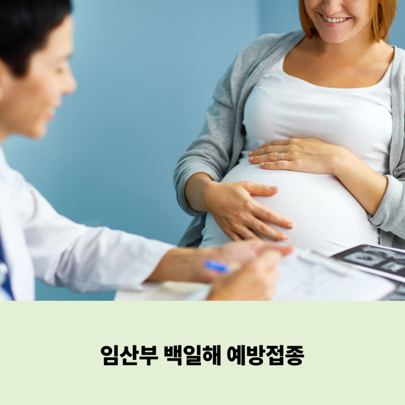 백일해 예방접종 언제? 임산부 권장 시기와 접종 기간 총정리