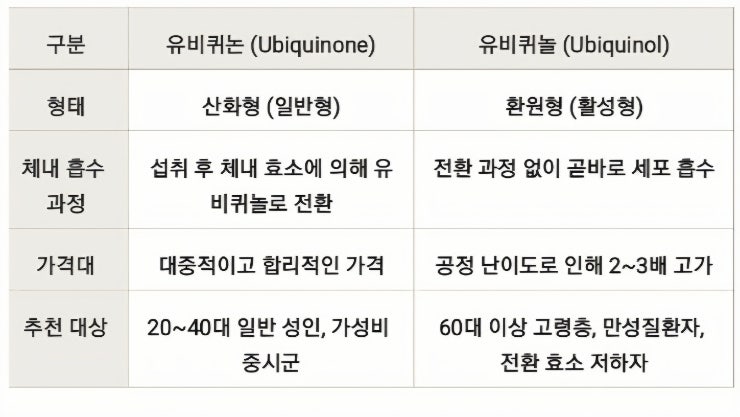 코엔자임큐텐 효능과 복용시간, 고지혈증약 먹는 사람은 왜 필수일까?