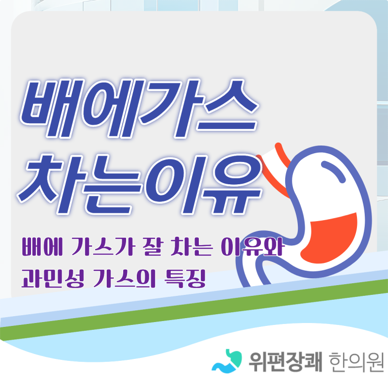 늘 배가 빵빵 배에 가스 차는 이유 대체 뭘까요?