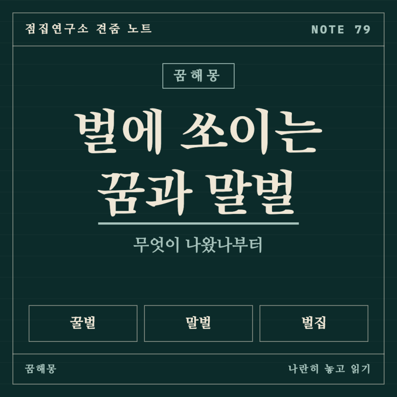 벌에 쏘이는 꿈 해몽, 말벌 꿈과 나란히 놓고 갈리는 자리 비교