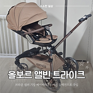 트라이크 고민 끝! 올보르 앨빈 트라이크 디럭스 브라운 색상 언박싱 (기장 베이비하우스 구....