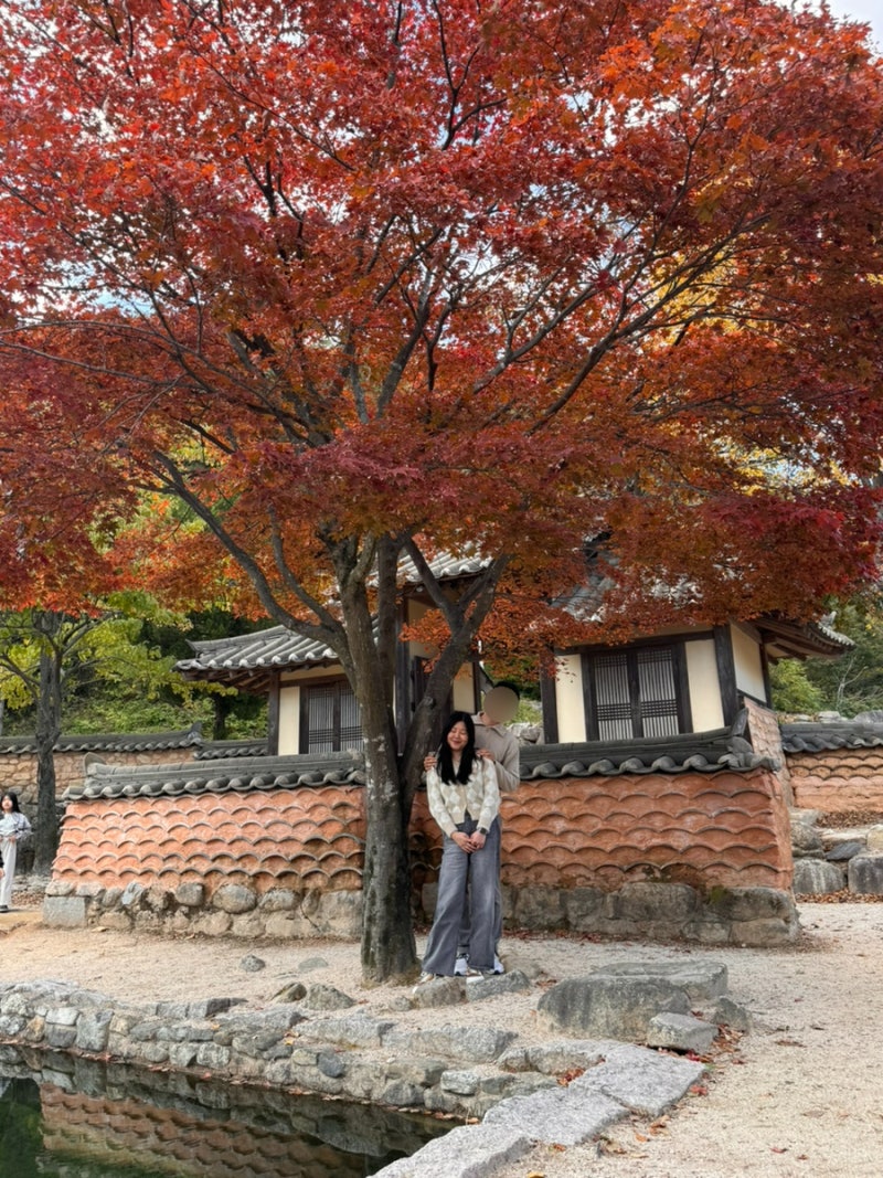 문경새재 오픈세트장 10월 단풍 지도 가는법 사진 스팟 유모차 아이동반 후기