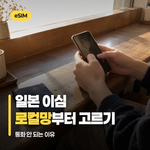 일본 이심 추천 기준, 로컬망부터 고르는 순서