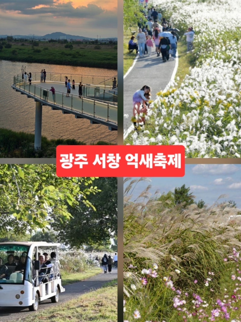Recommended Jeollado Travel Destination: Gwangju Attractions, Seochang Reed Festival