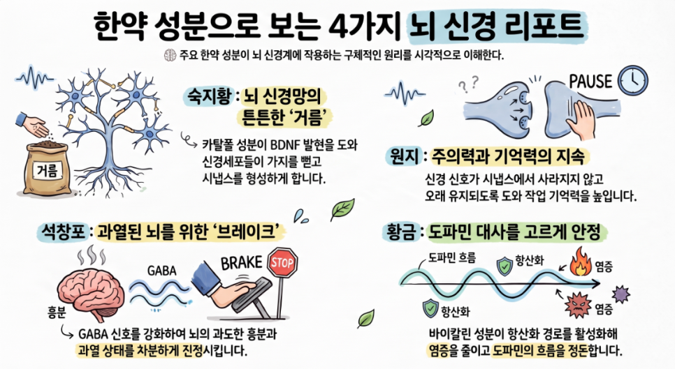 오브한의원 임상 칼럼