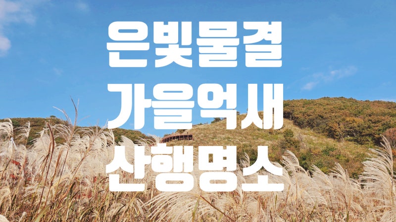 2026 가을 억새축제 | 황매산·민둥산·명성산·간월재 억새 명소