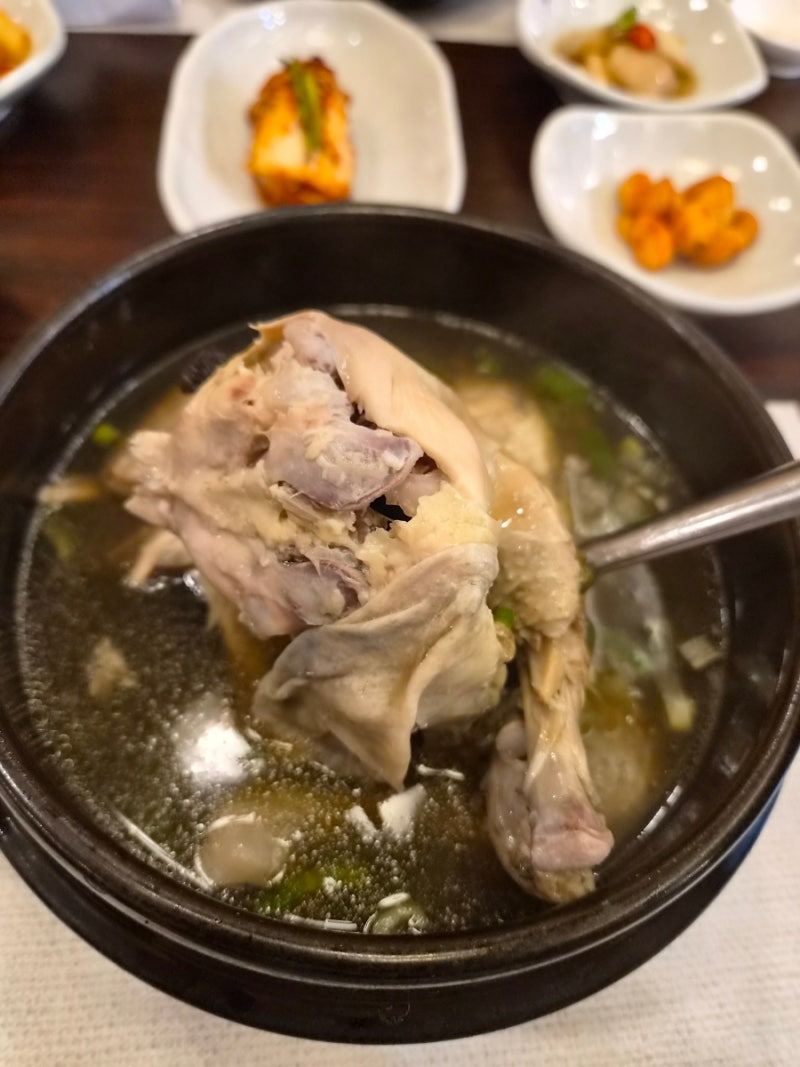 [달서구/성서] 대구부모님식사 가족외식 추천 든든한 보양식 성서제1능이버섯능이백숙