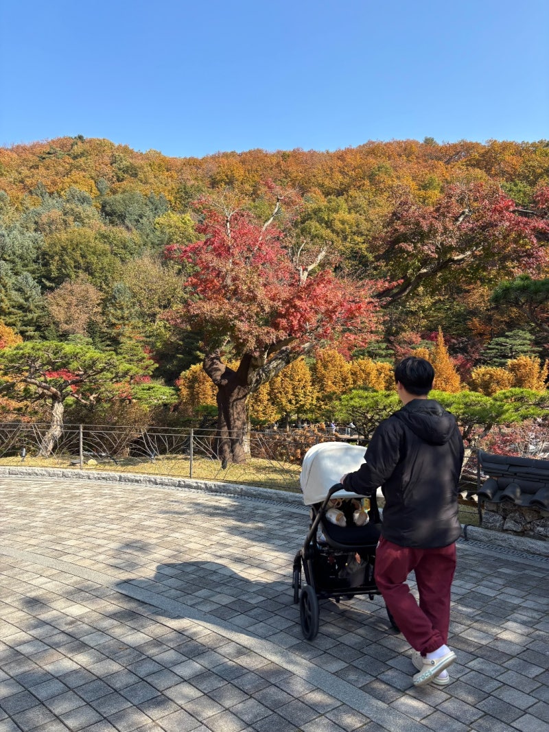 화담숲 유모차 대여 불가와 주차 및 모노레일 이용 팁 총정리