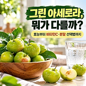 그린 아세로라 비타민C 비교 추천 효능 가루가 더 좋을까?