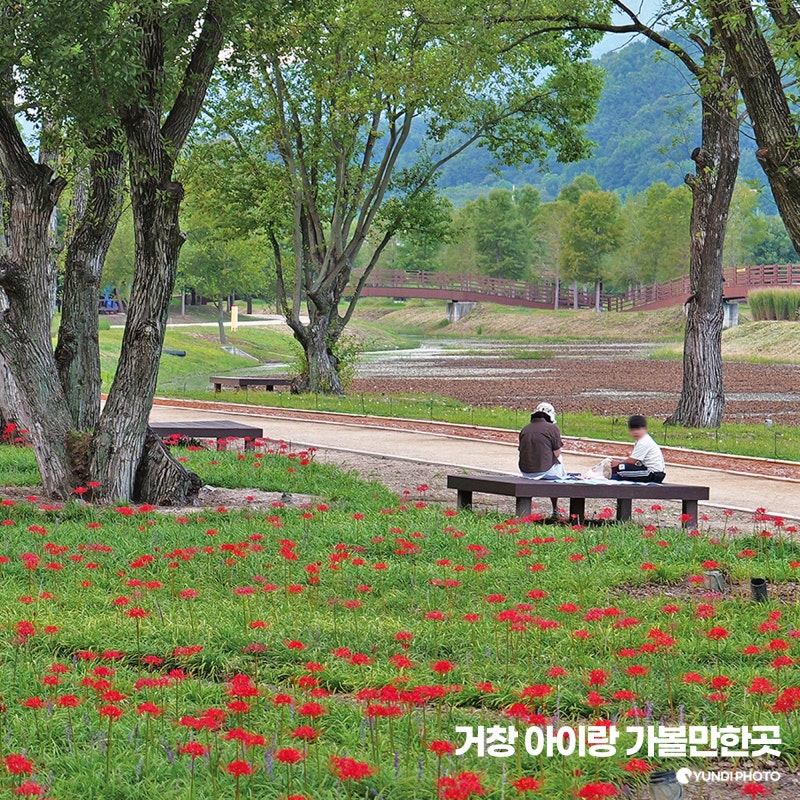 거창 가볼만한곳 창포원 정원치유박람회 축제 가을 여행 코스