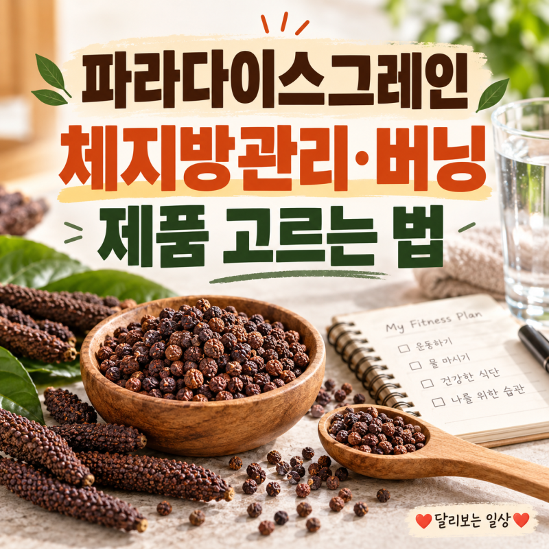 파라다이스그레인 체지방관리 도움이 될까? 6-파라돌 제품 고르는 법과 섭취 전 체크