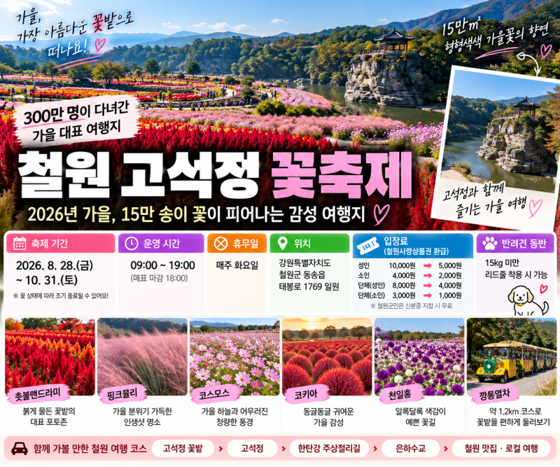 철원 고석정 꽃축제 2026｜15만 송이 가을꽃·입장료·기간·주차·꽃 종류 총정리