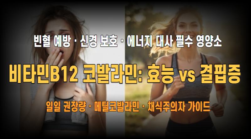 비타민B12 완전 정복: 빈혈 예방·신경 보호·에너지 대사를 위한 핵심 가이드