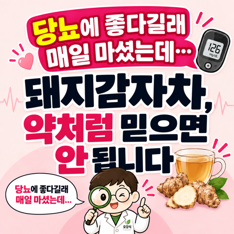“혈당에 좋다길래 매일 마셨는데…” 돼지감자차 효능, 정말 당뇨에 도움 될까요?
