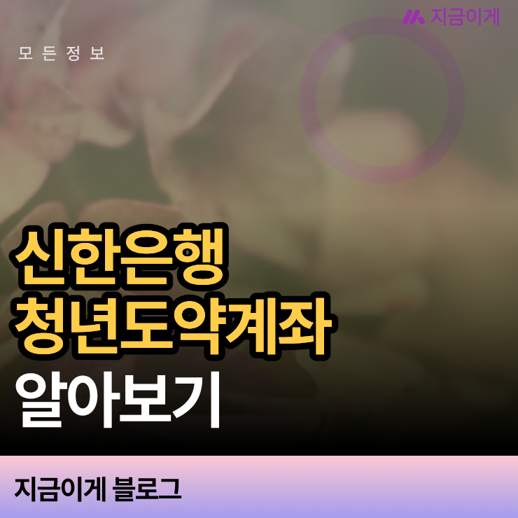 신한은행 청년도약계좌 우대금리 조건과 소득별 정부기여금 한도 분석
